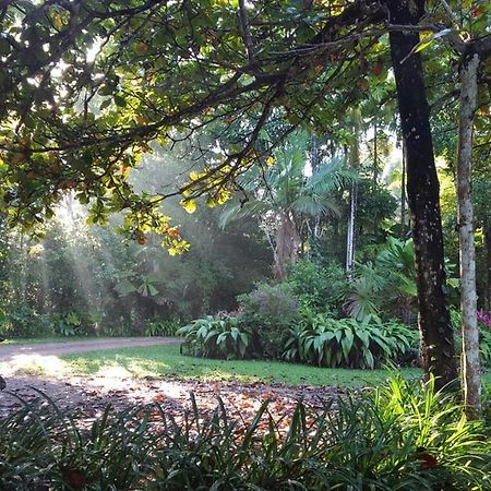 Вилла Fanpalm Creek Hideaway Diwan Экстерьер фото