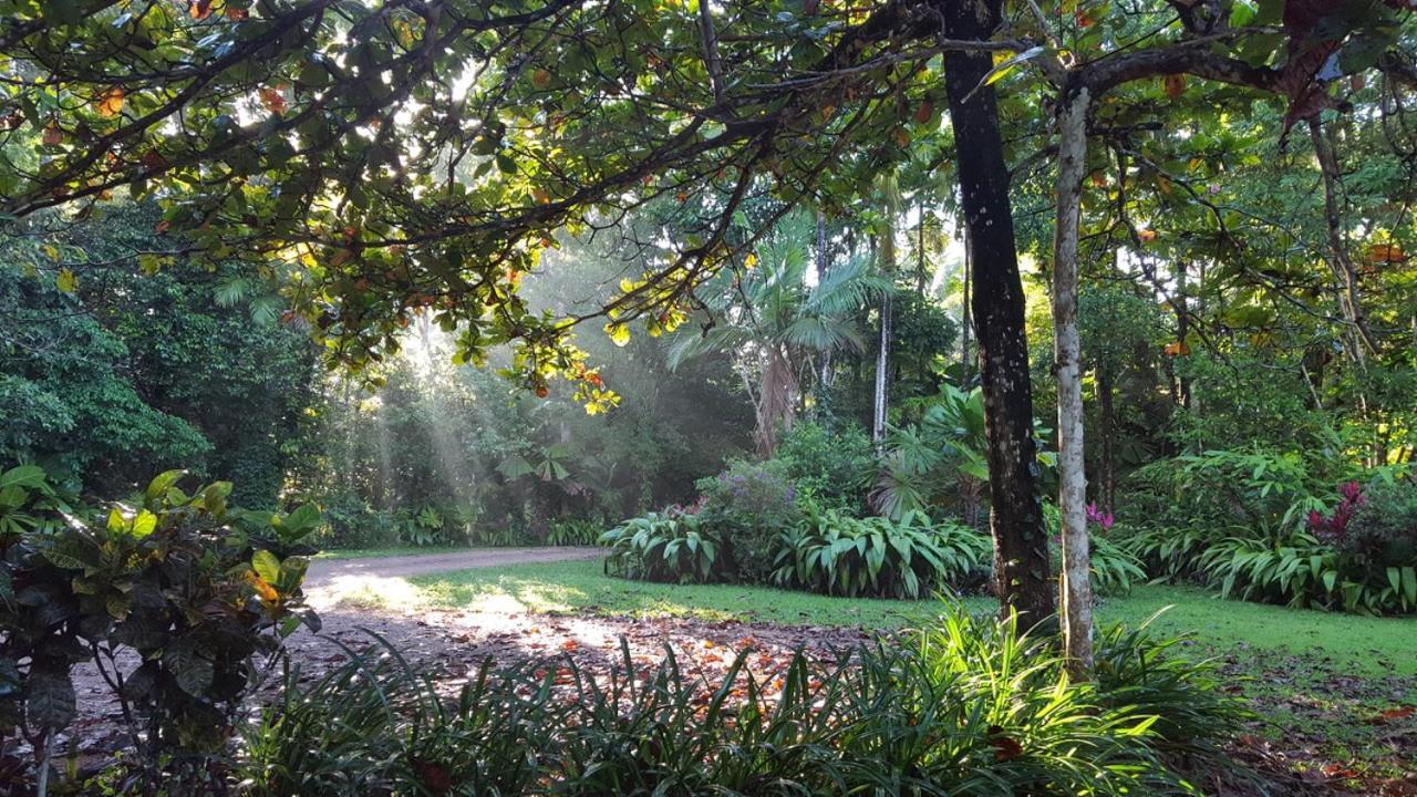 Вилла Fanpalm Creek Hideaway Diwan Экстерьер фото